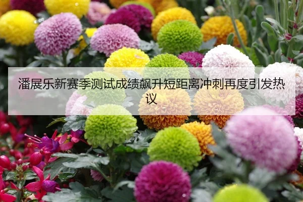 潘展乐新赛季测试成绩飙升短距离冲刺再度引发热议