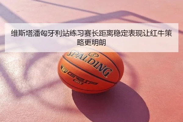 维斯塔潘匈牙利站练习赛长距离稳定表现让红牛策略更明朗