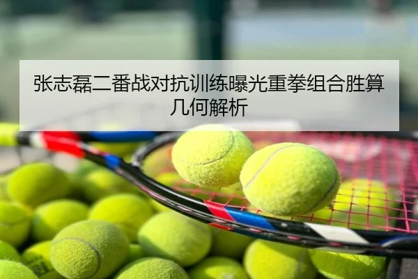 张志磊二番战对抗训练曝光重拳组合胜算几何解析