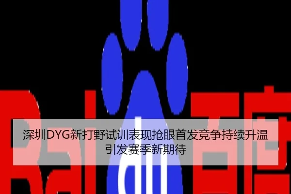 深圳DYG新打野试训表现抢眼首发竞争持续升温引发赛季新期待